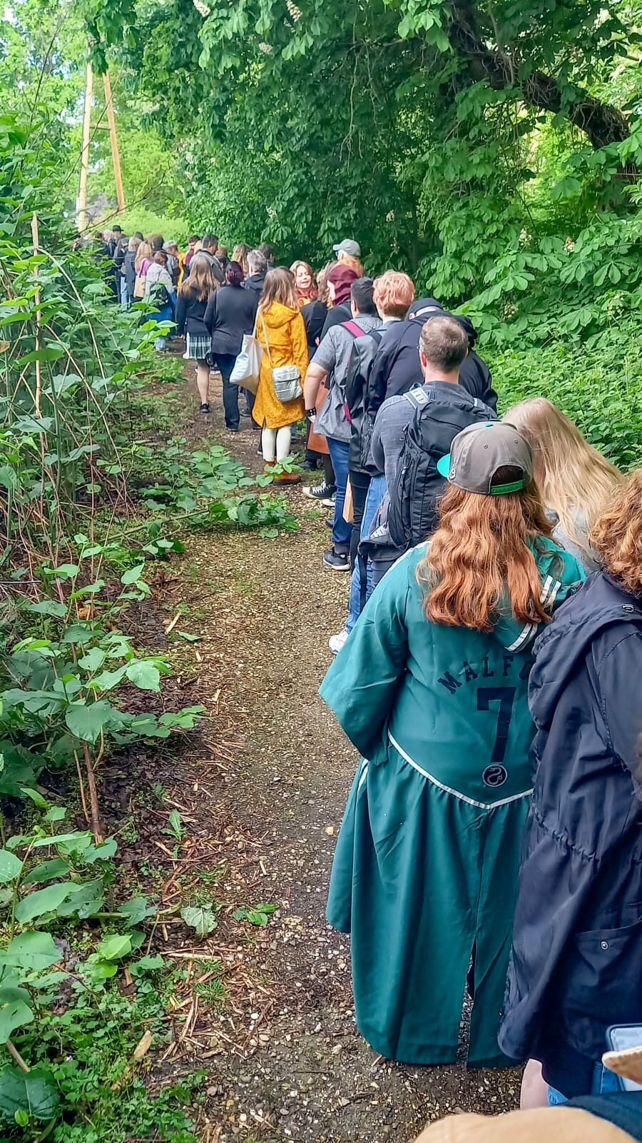 A forest path with a long line of people winding through it. Some of them are dressed up, for example someone in the foreground with a Malfoy Quidditch cape.